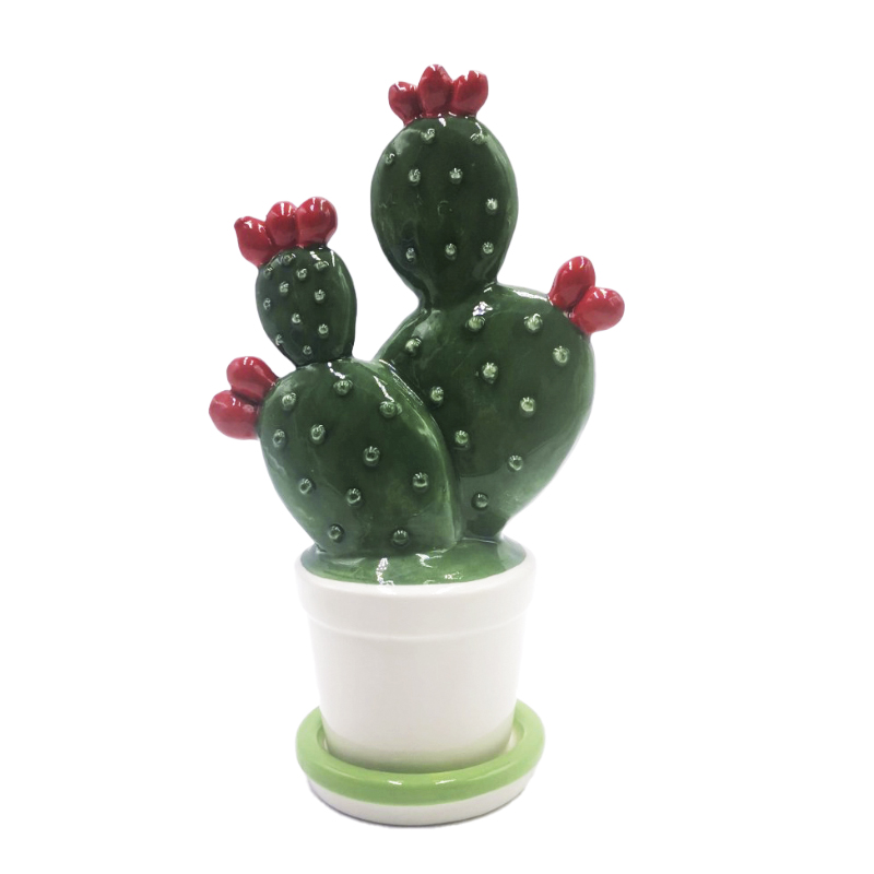 Pianta A Grassa Piccola 17,5Hx11