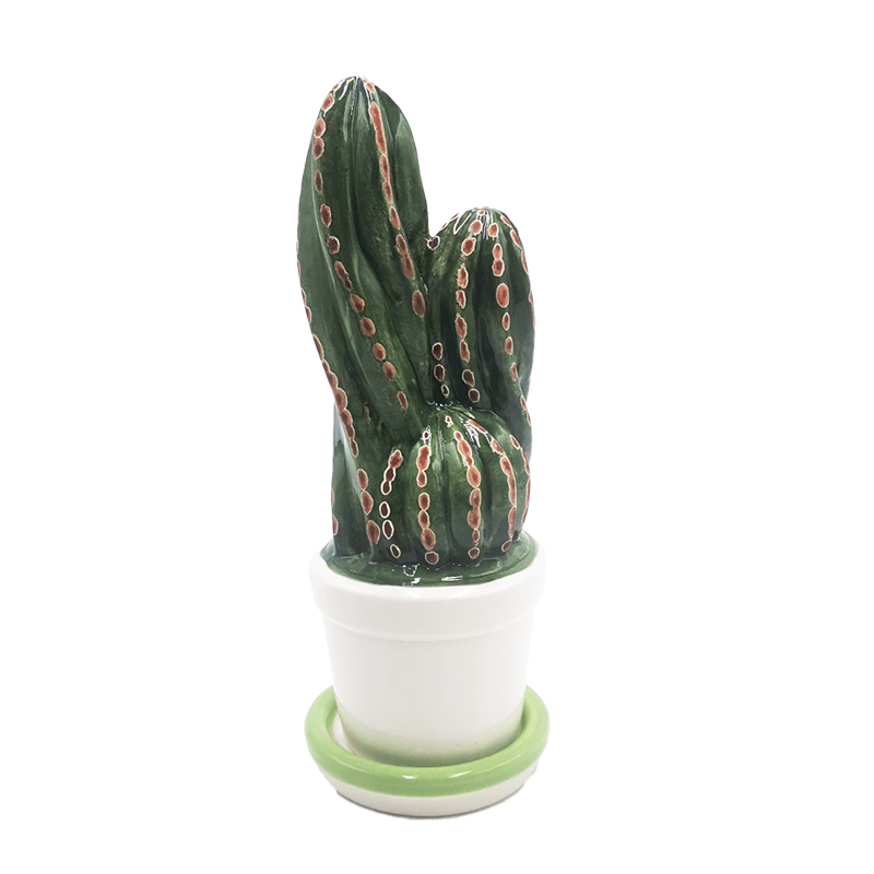 Pianta Cactus Piccola H17,5X7